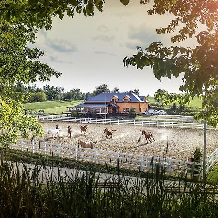 Hotel Horse Riding - Jezdecky Areal Тршице Экстерьер фото