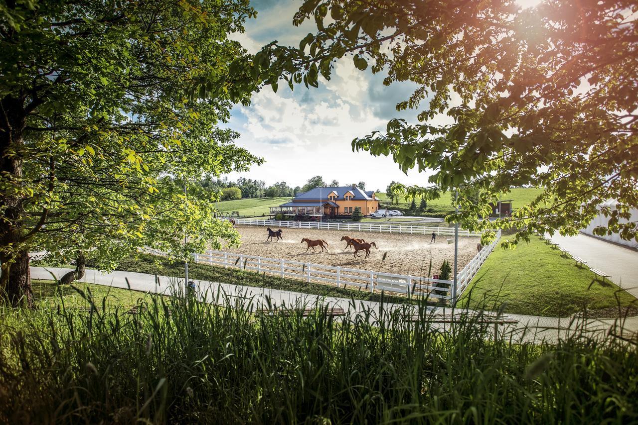 Hotel Horse Riding - Jezdecky Areal Тршице Экстерьер фото