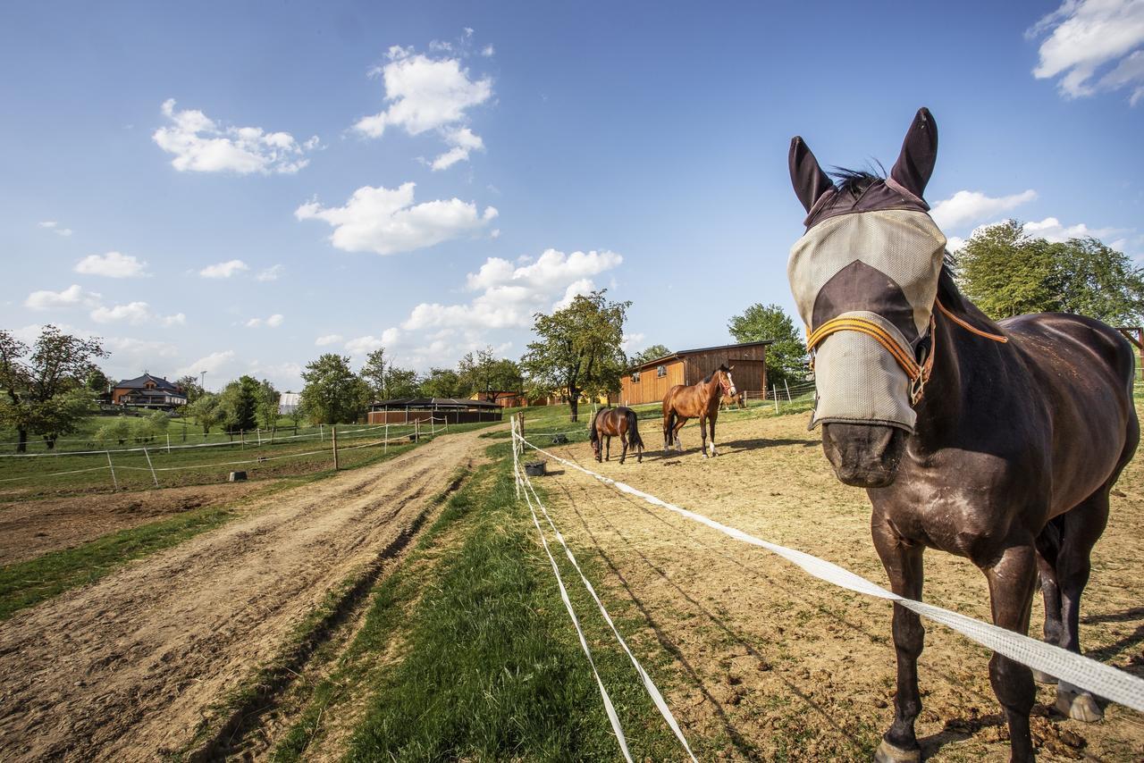 Hotel Horse Riding - Jezdecky Areal Тршице Экстерьер фото