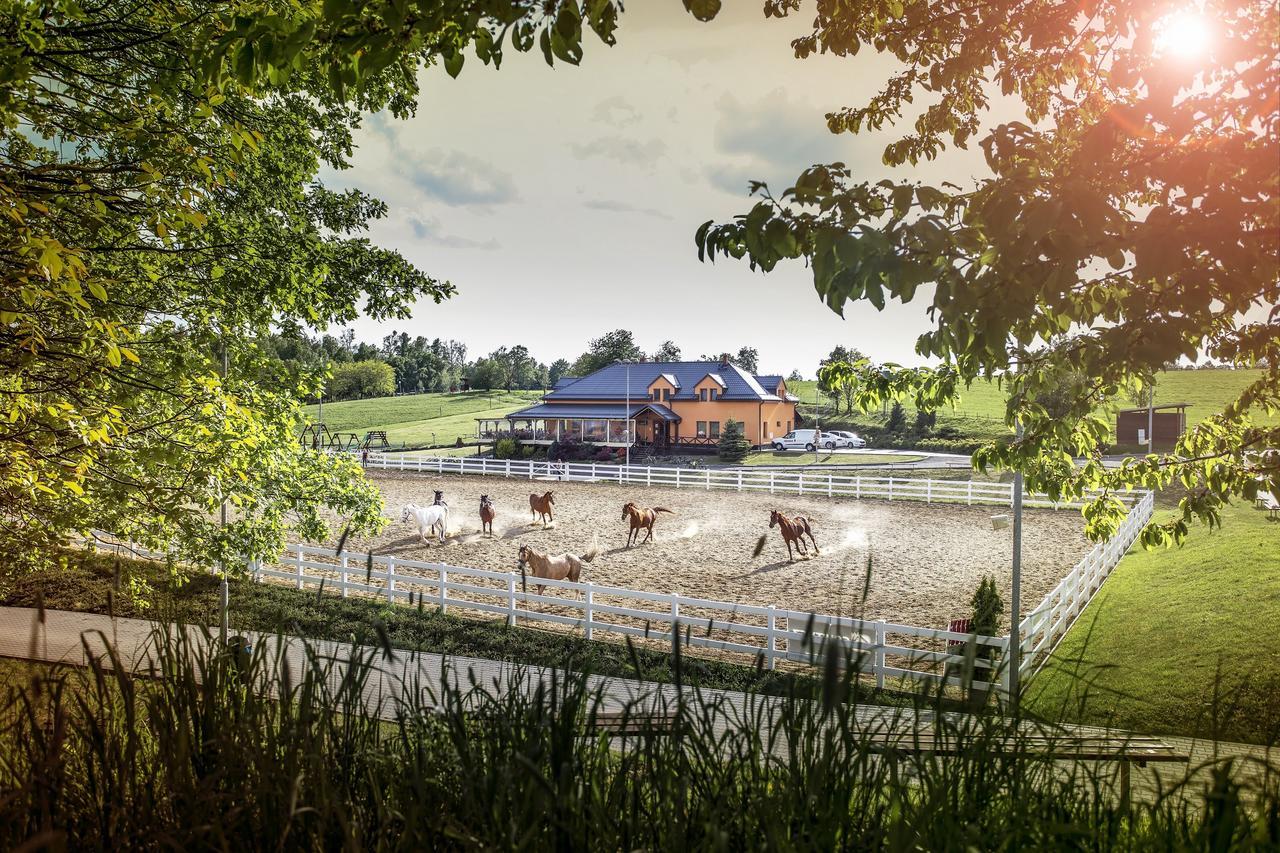 Hotel Horse Riding - Jezdecky Areal Тршице Экстерьер фото