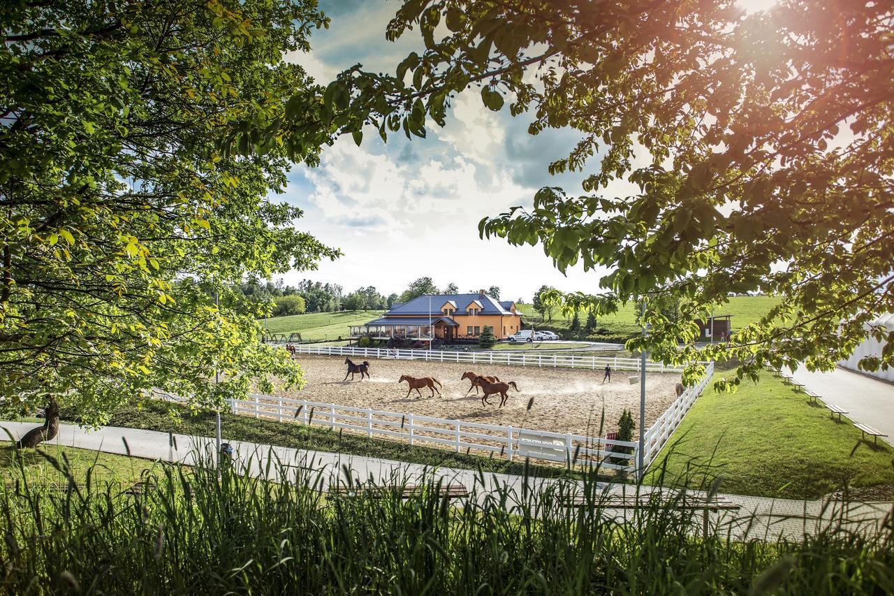 Hotel Horse Riding - Jezdecky Areal Тршице Экстерьер фото